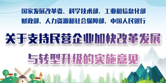 關(guān)于支持民營企業(yè)加快改革發(fā)展與轉(zhuǎn)型升級的實施意見